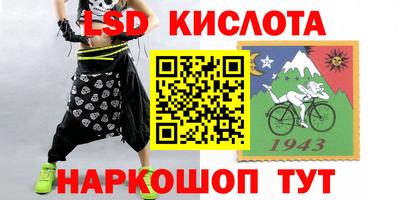 крисы Бийск