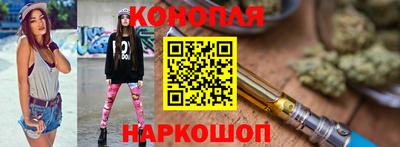 крисы Бийск