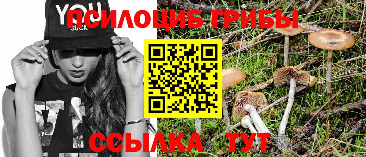 Камень-на-Оби  Галлюциногенные грибы Cubensis  Вход с VPN 